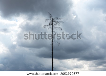 Similar – laterne (schräg) vor wolkenverhangenem himmel