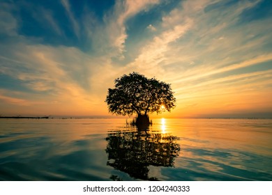 Alone tree among big lake - Powered by Shutterstock