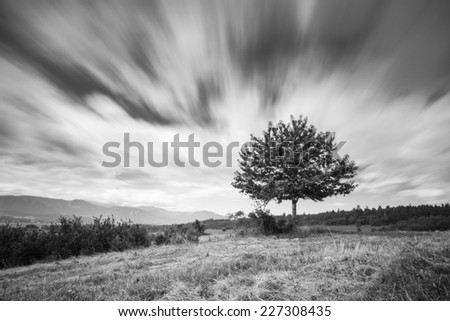 Similar – Foto Bild schräger Baum Winter