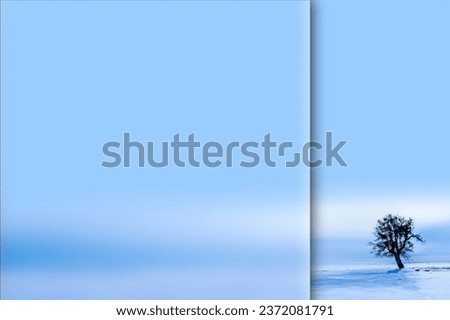 Alone tree. Winter nature background. Photo with a frosted glass effect applied to one side. presentation, card, poster etc. ready-to-use image. 
