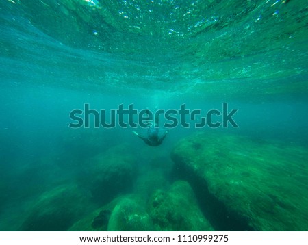 Similar – under the sea