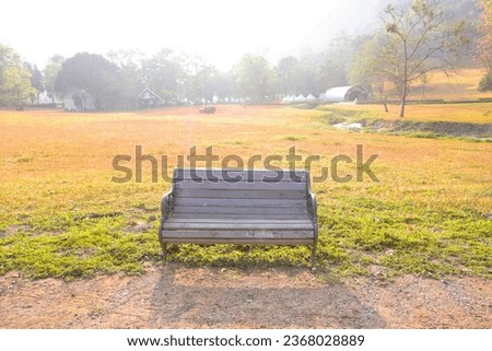 Alone wooden bench at a park,modern architecture interior.