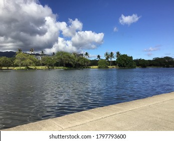 Along The Ala Wai Canal