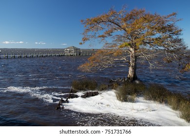 Along The Boardwalk In Duck, North Carolina