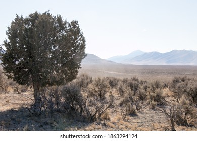 Along The Pony Express Trail