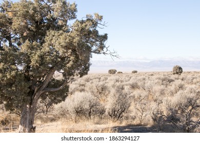 Along The Pony Express Trail