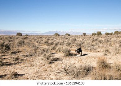 Along The Pony Express Trail