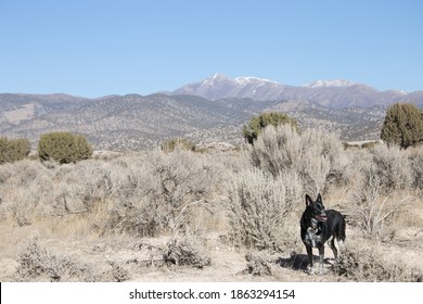 Along The Pony Express Trail