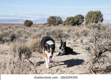 Along The Pony Express Trail