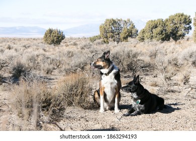 Along The Pony Express Trail