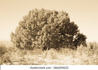 Along The Pony Express Trail