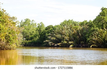 21 Nilwala river Images, Stock Photos & Vectors | Shutterstock