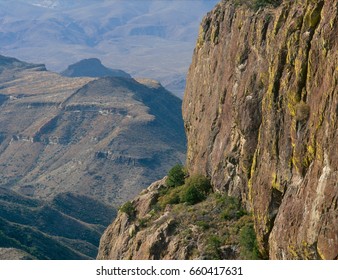 Along The South Rim Trail, Big Bend National Park, Texas
