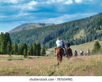 Along The Trail - Yellowstone National Park