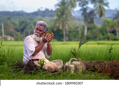 Alor Setar, Kedah Malaysia : Aug 05 2020 : Portrait Shot Of Asian Malay Old Man In Rural Village Area During Sunny Day