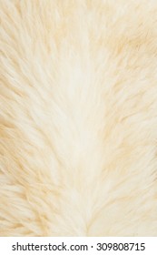 Alpaca Fleece Background