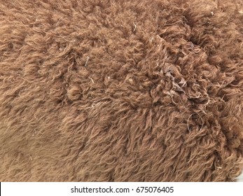 Alpaca Wool Texture