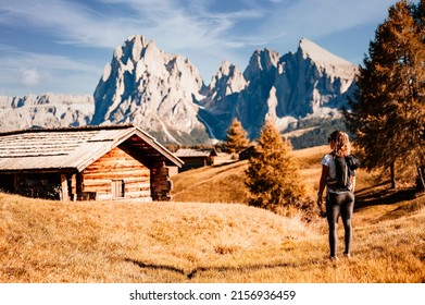 Alpe di Siusi - Seiser Alm- Langkofel mountain group. landscape of Alpine red autumn Alpe di Siusi. hiking nature scenery in dolomites. wooden chalets in Dolomites, Trentino Alto Adige