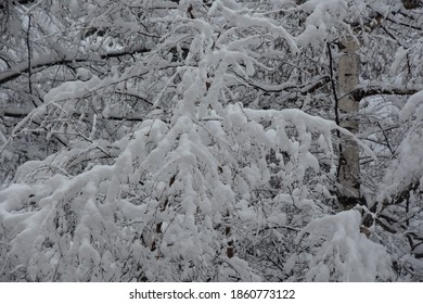 Alpes Snow Beautiful Landscape In Saint Martin De Belleville