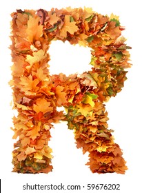 10,542 Alphabet of autumn leaves Images, Stock Photos & Vectors ...