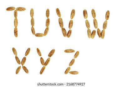 Alphabet of date fruit seeds. TUVWXYZ capital letters. Isolated on a white background. Close-up.