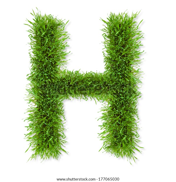 Alphabet Grass H Letter Isolated On Stock Photo 177065030 | Shutterstock