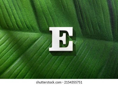 Alphabet letter E - Green leaf of tropical plant