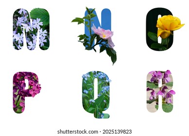 Alphabet letters M N O P Q R made from flowers of different vidos and varieties .Front side of flower letters