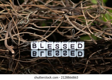 Alphabet mote blocks arranged into "blessed" against a background of dry twigs of vines.