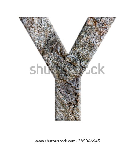 alphabets from bark tree isolated on white background : Letter Y