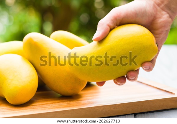 Manila mango Images, Stock Photos & Vectors | Shutterstock