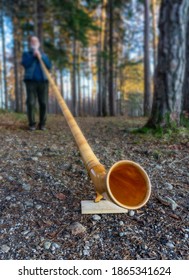 Alphorn Player Practices His Instrument In The Forest