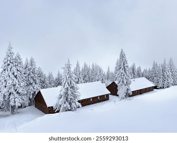 alpine chalet in snow covered pine forest. alpine winter aesthetic. winter background. winter forest. snowy pine forest. minimalistic background - Powered by Shutterstock