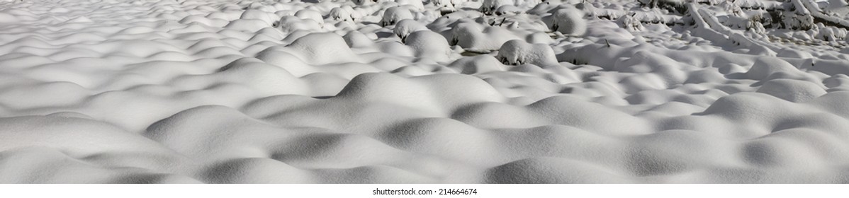 Alpine is the climate in spring or autumn when the snow storm comes and sweeps the mountains, villages, pastures, young and fresh flowers, breaking trees and avalanches. Black and white landscape 