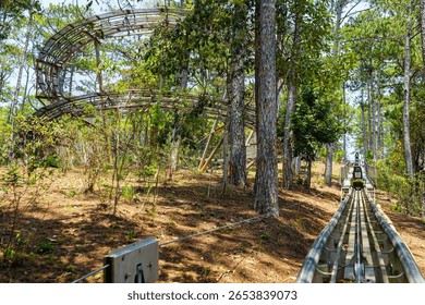 Alpine Coaster Track Through Pine Forest at Datanla Waterfall Adventure Park, Da Lat, Vietnam - Powered by Shutterstock - Get 15% off with code: PIKWIZARD15