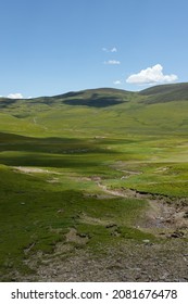 Alpine Grassland Scenery Of Ganzi Tibetan Autonomous Prefecture