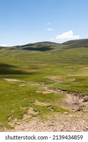 Alpine Grassland Scenery Of Ganzi Tibetan Autonomous Prefecture