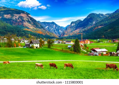 Alpine green fields and traditional wooden houses view of the Gosau village at autumn sunny day. Location: resort village Gosau Salzkammergut region, Gosau Valley in Upper Austria, Alps. Europe.