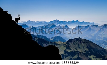 Similar – Image, Stock Photo Last year, in summer, in the Alps …