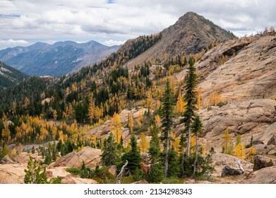 The Alpine Lakes Wilderness With Golden Larches In The Fall