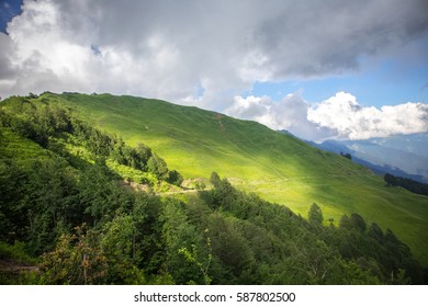 Alpine landscape