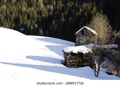 alpine landscape with snowy hills, firs and wooden hut