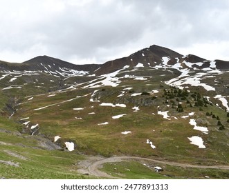Alpine Loop Cinnamon and Engineer Pass