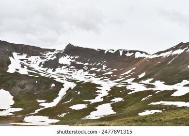 Alpine Loop Cinnamon and Engineer Pass