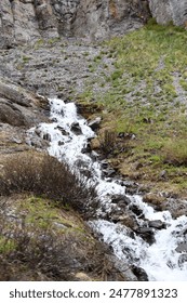 Alpine Loop Cinnamon and Engineer Pass