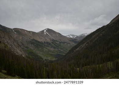 Alpine Loop Cinnamon and Engineer Pass