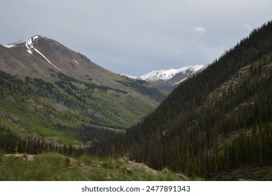 Alpine Loop Cinnamon and Engineer Pass