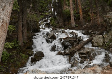 Alpine Loop Cinnamon and Engineer Pass