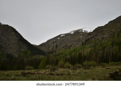 Alpine Loop Cinnamon and Engineer Pass