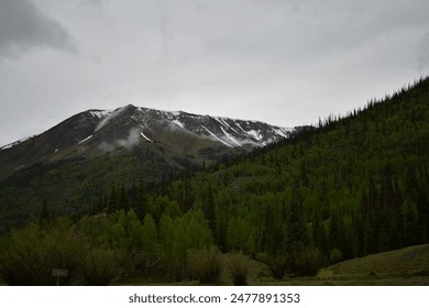 Alpine Loop Cinnamon and Engineer Pass